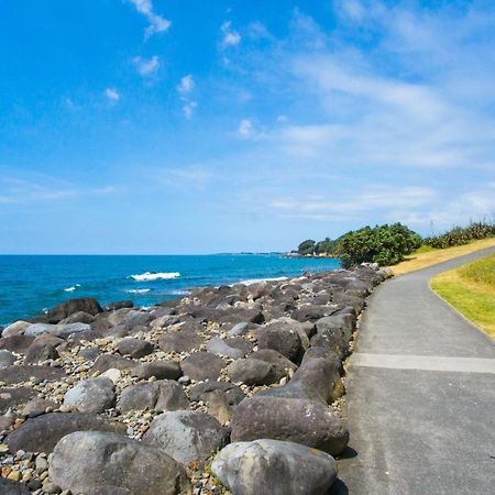 Mountain View Ark Apartment New Plymouth Zewnętrze zdjęcie