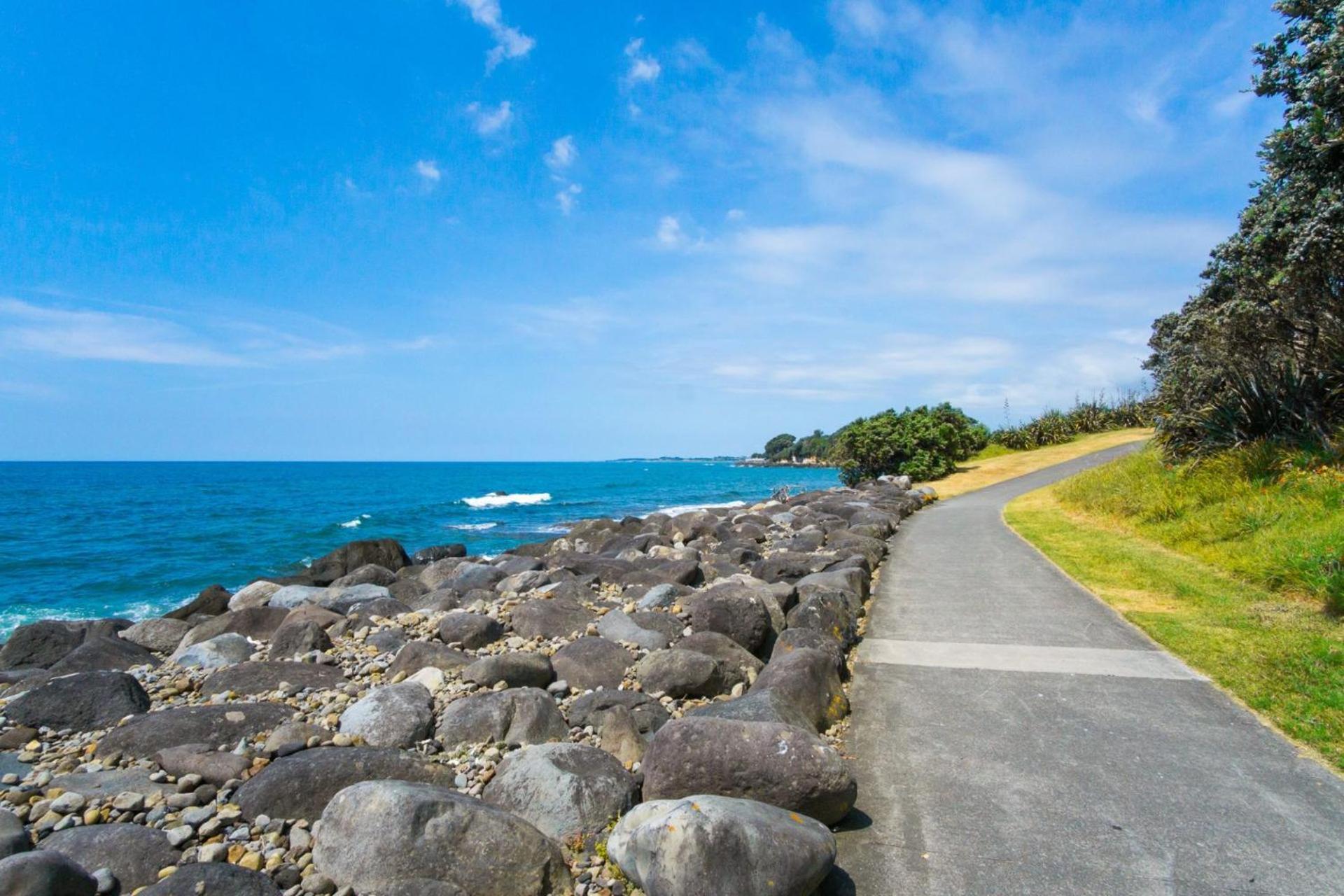 Mountain View Ark Apartment New Plymouth Zewnętrze zdjęcie